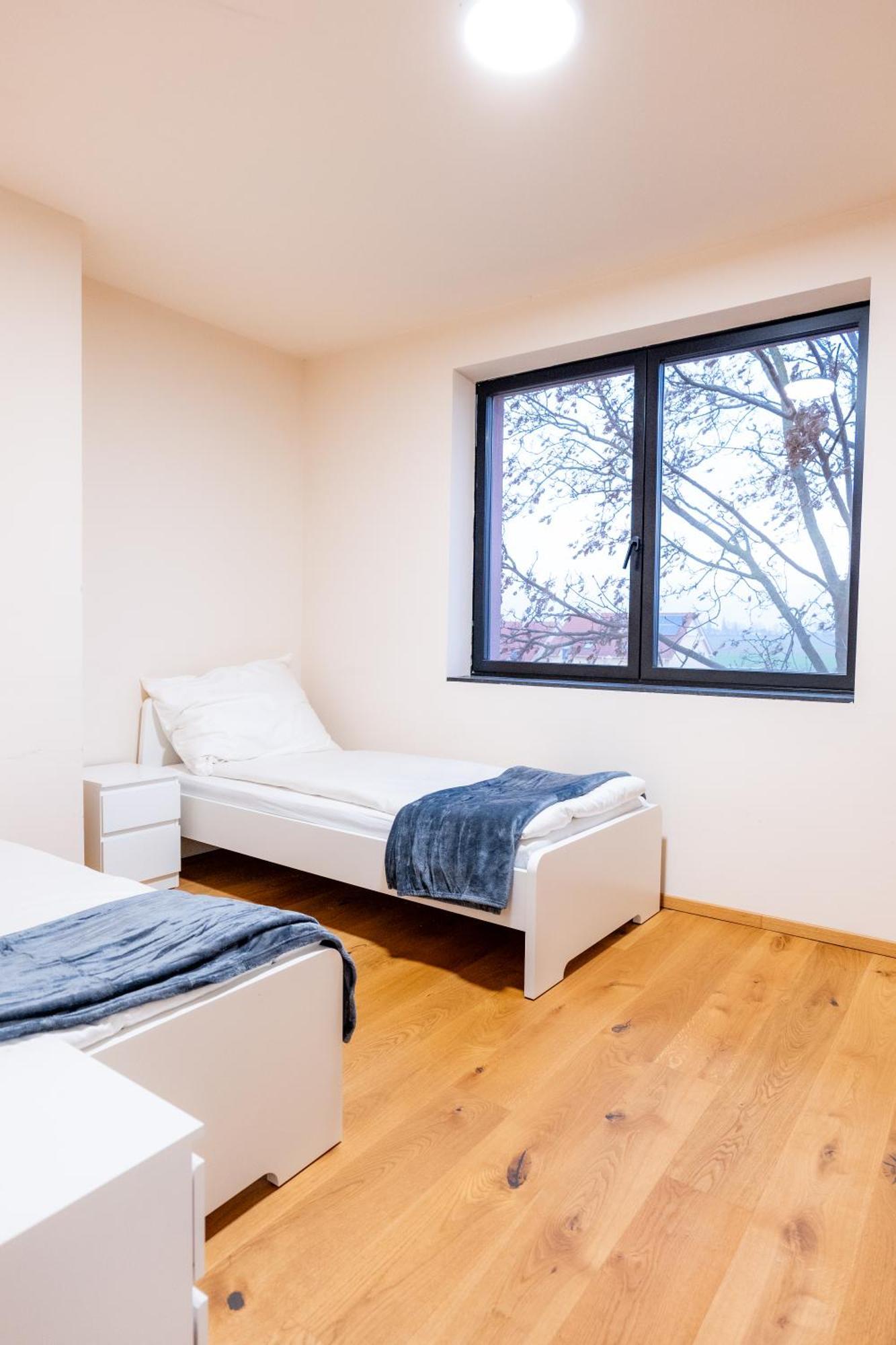 Maria Ellend Villa Rose Close To Vienna & Airport מראה חיצוני תמונה